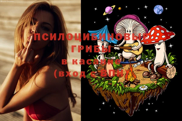 ГАЛЛЮЦИНОГЕННЫЕ ГРИБЫ Алзамай