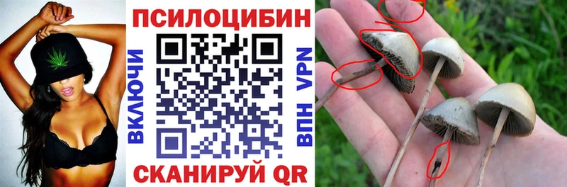Псилоцибиновые грибы мухоморы  закладка  Ахтырский 